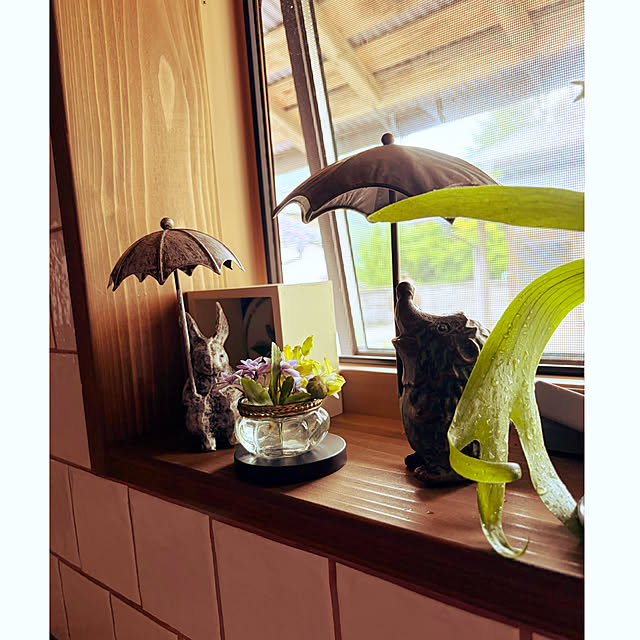 cotaさんの部屋