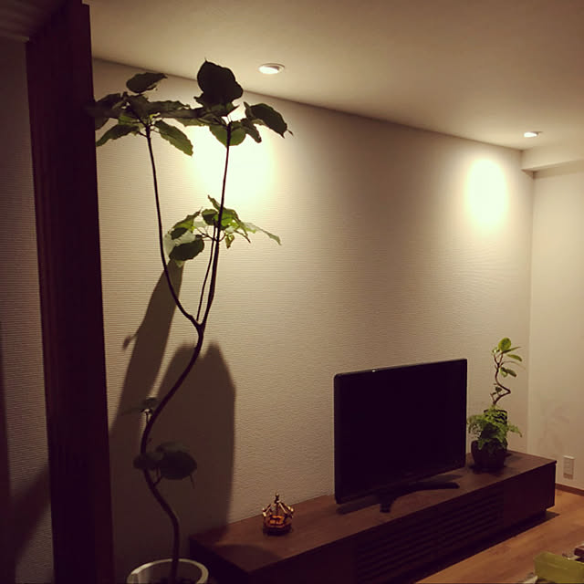 kaiさんの実例写真