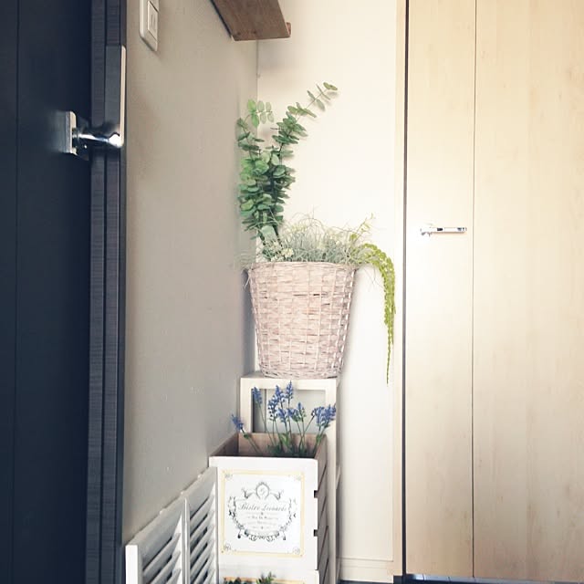 Maruさんの実例写真
