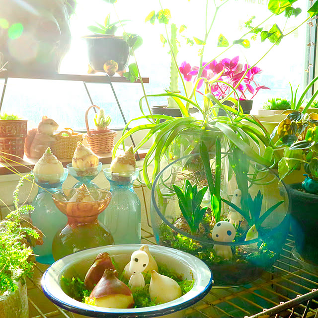 rukakoさんの実例写真