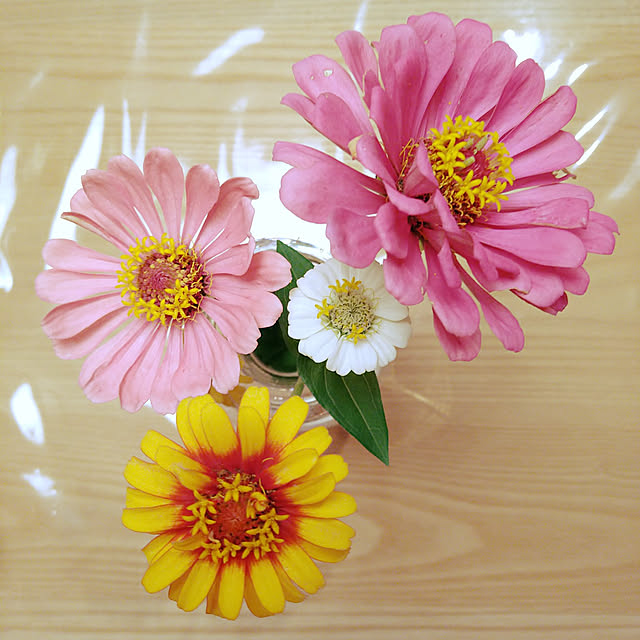 takiko0407さんの実例写真