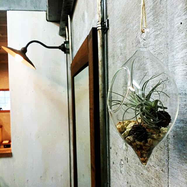 壁/天井/観葉植物/照明/植物/雑貨のインテリア実例 - 2015-11-07 18:19:24