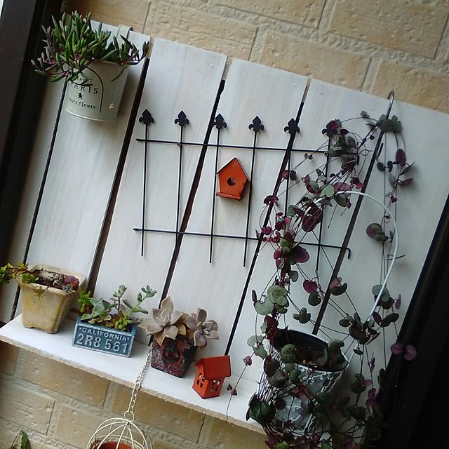 satochiさんの実例写真