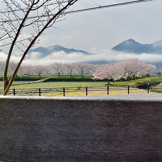 yukariさんの実例写真