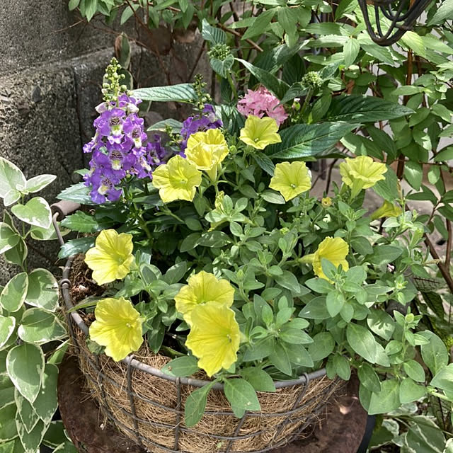 min_nimさんの実例写真