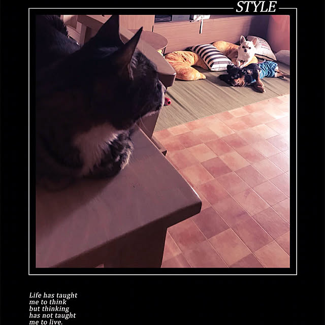 SAKICHIさんの実例写真