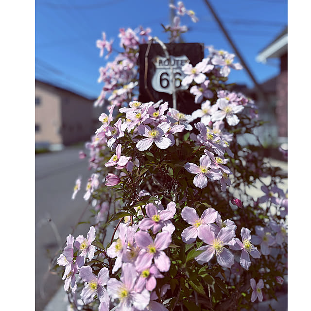 usagiさんの実例写真
