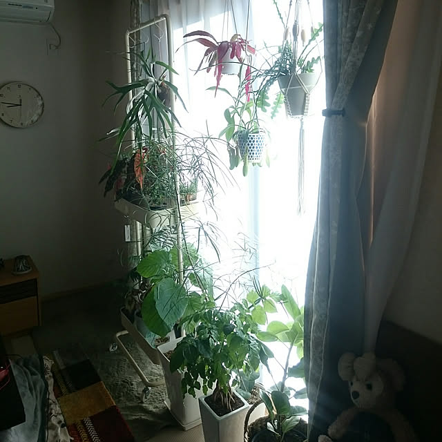 chocococoaさんの実例写真
