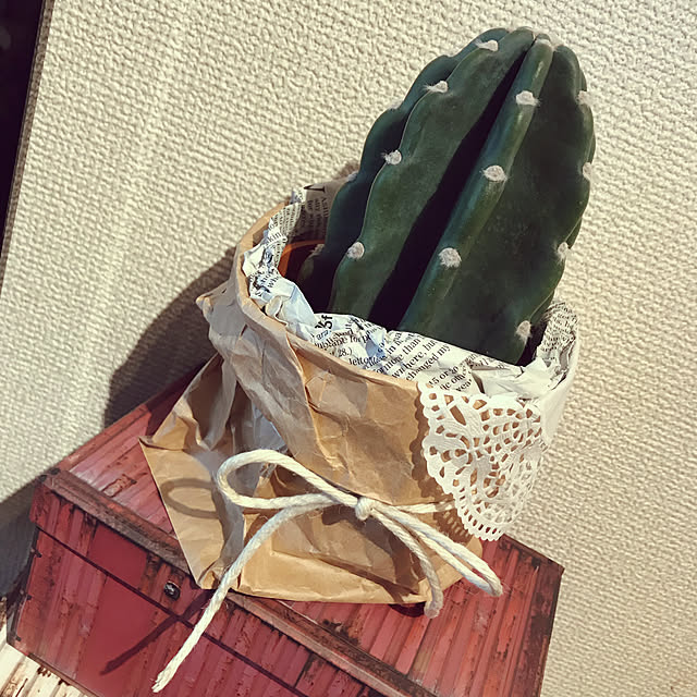 foursmammaさんの実例写真