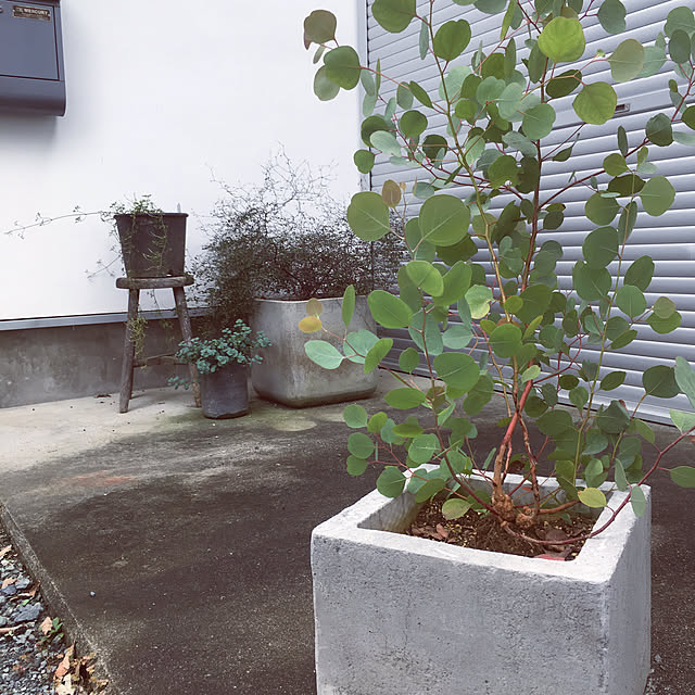yukikoさんの実例写真