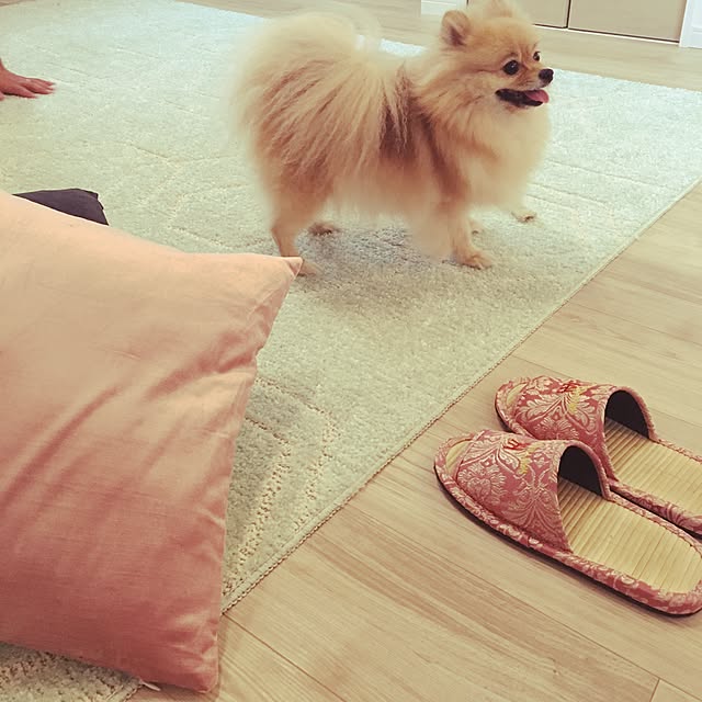 teahさんの実例写真
