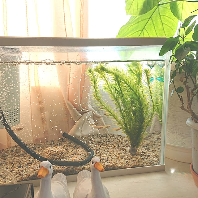 miho.okuさんの実例写真