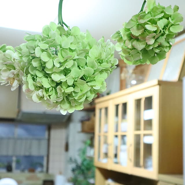 naopyiさんの部屋