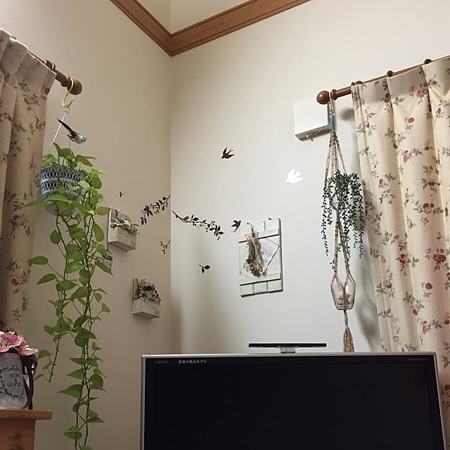 mayuminさんの実例写真