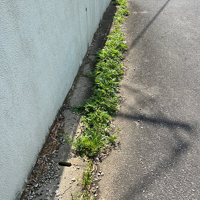 kotaroさんの実例写真