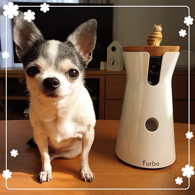 Emiさんの実例写真