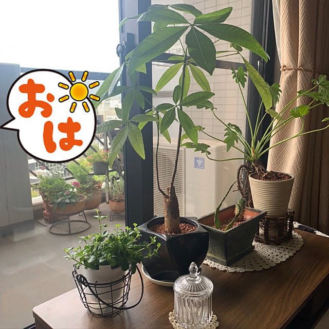 JUNさんの実例写真