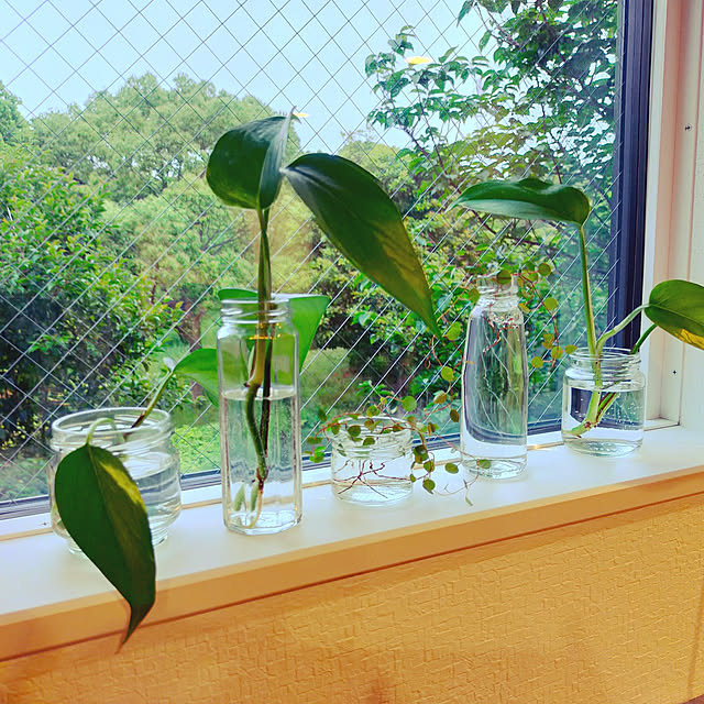mfjさんの実例写真