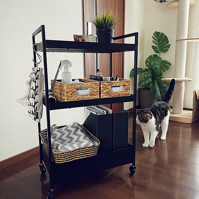 tansukeさんの部屋
