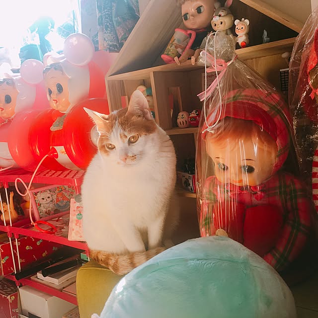 Karenさんの実例写真