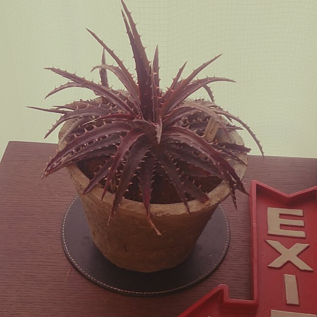 Hiroyukiさんの実例写真