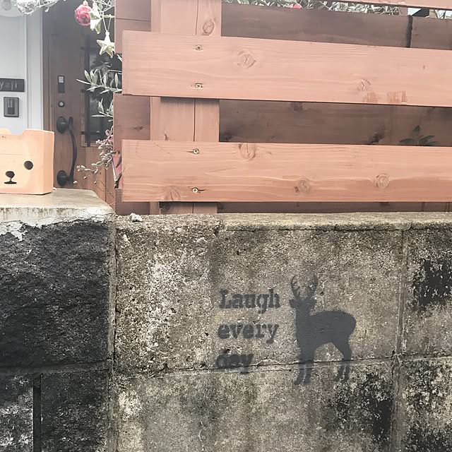 Kiyomiさんの実例写真