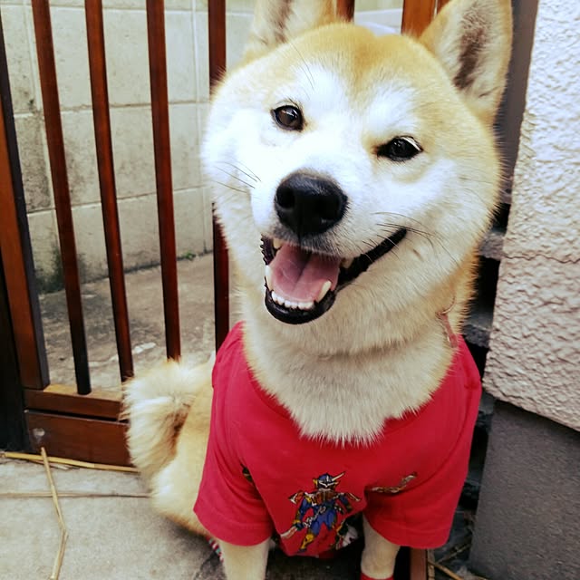 fruityanさんの実例写真