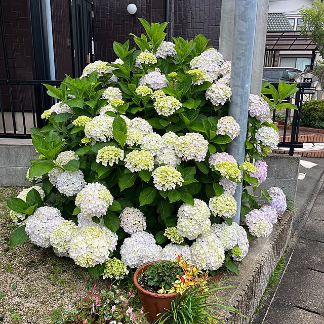 ritsukoさんの部屋