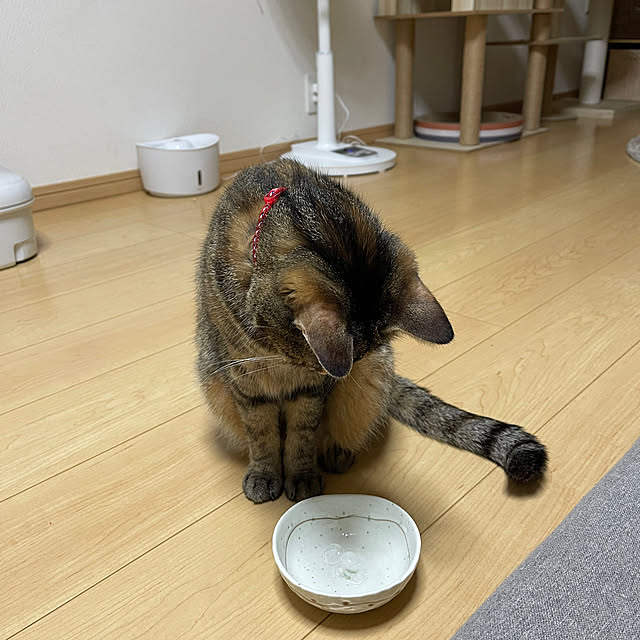 chiiさんの実例写真