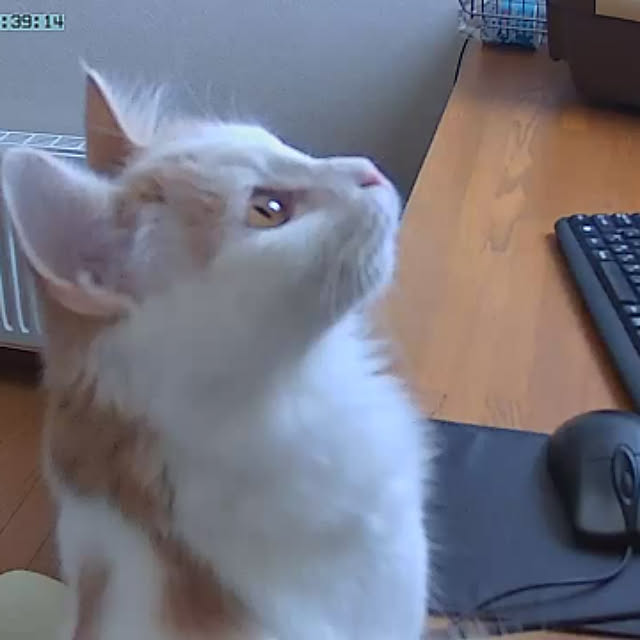 机のインテリア実例 - 2019-10-03 18:58:55