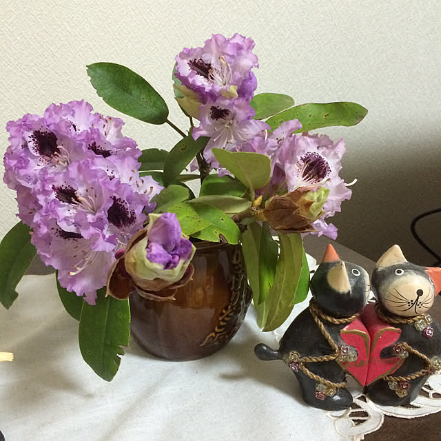pu-koさんの実例写真
