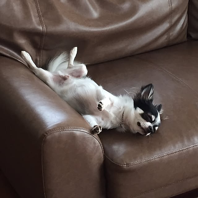 tomoさんの実例写真