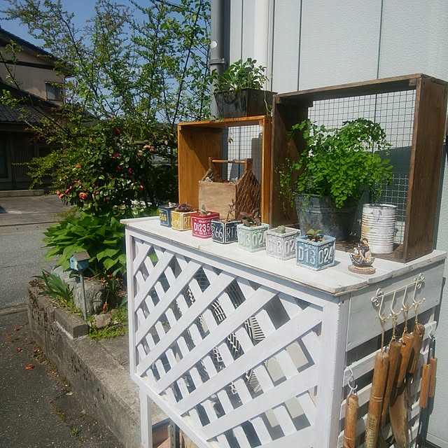 paruさんの実例写真