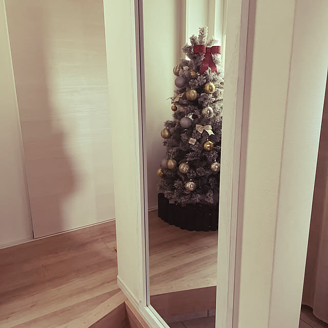 クリスマスツリー/玄関/入り口のインテリア実例 - 2021-11-14 08:26:52