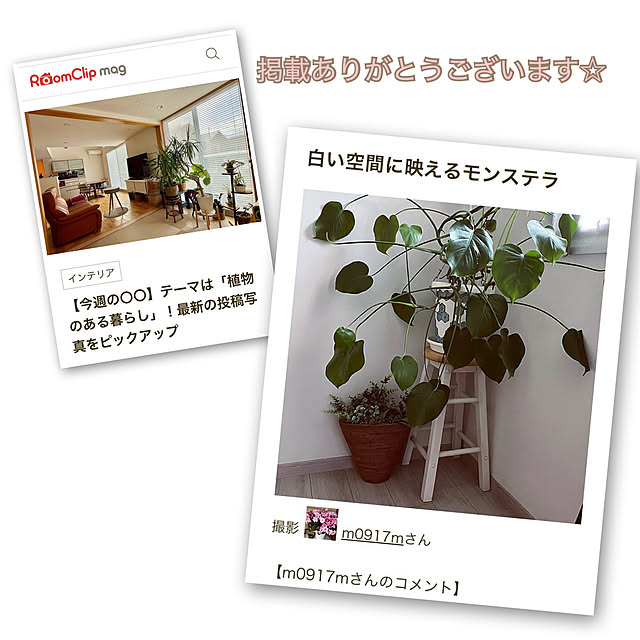 m0917mさんの実例写真