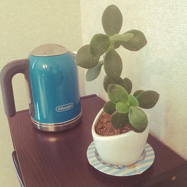 yumeibuさんの実例写真