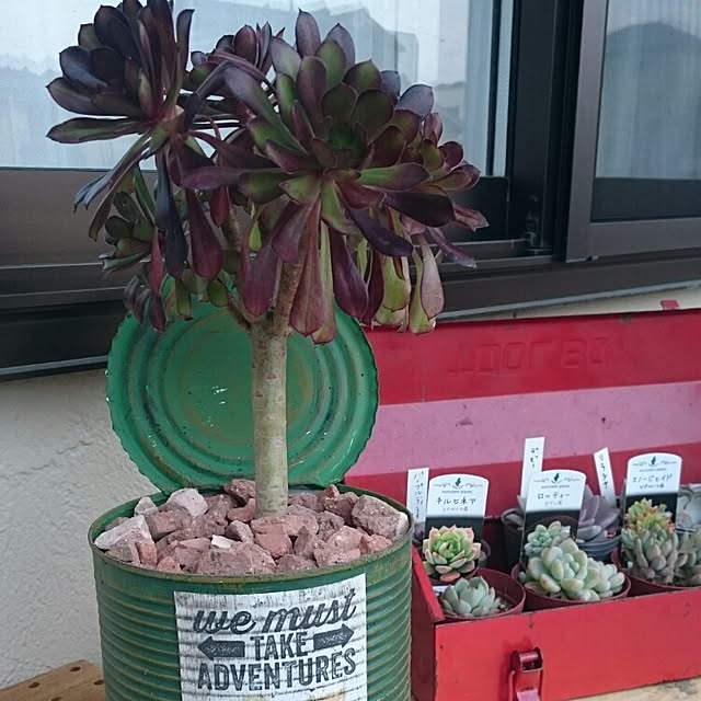 Makiさんの実例写真