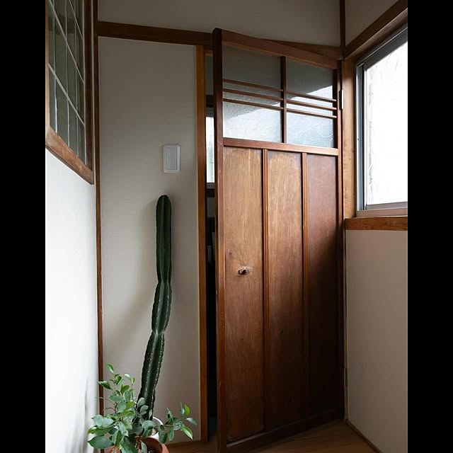 taniさんの実例写真