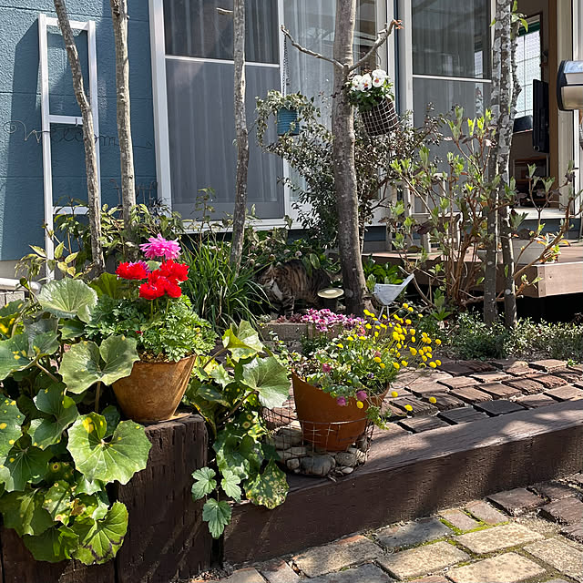 nobikoさんの部屋