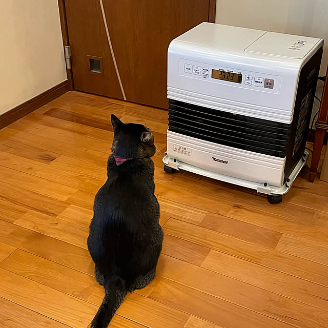 ダイニチ 石油ファンヒーターのおすすめ商品とおしゃれな実例 ダイニチ 石油ファンヒーターのおすすめ商品とおしゃれな実例