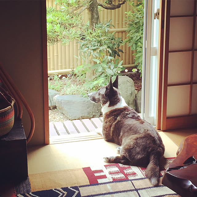 実例写真