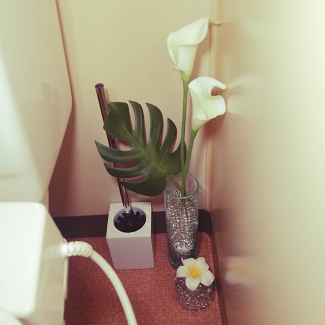 satokichiさんの実例写真