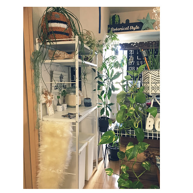 yunさんの実例写真