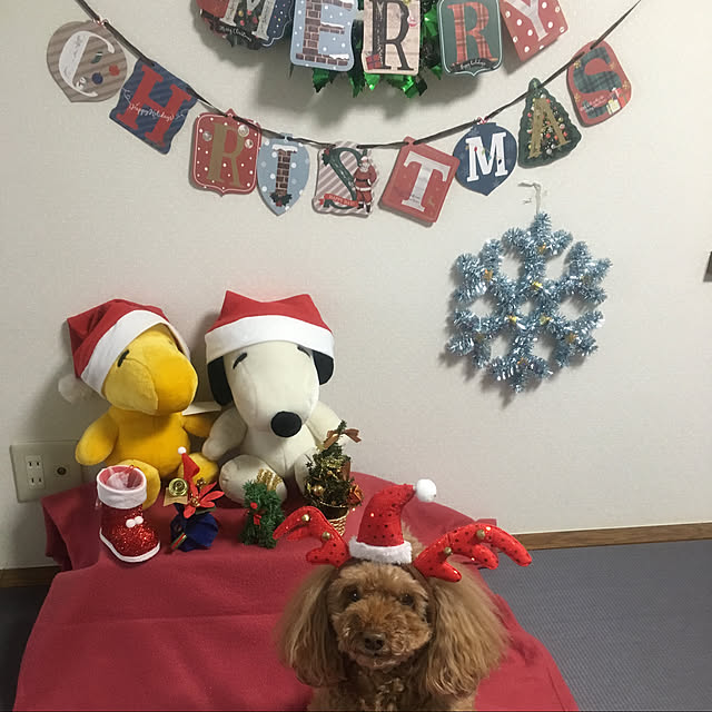 ash1024さんの実例写真
