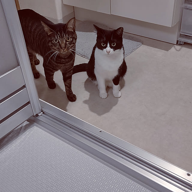 hihaさんの実例写真