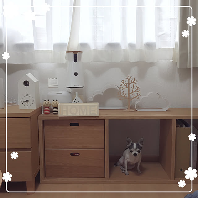 Emiさんの実例写真