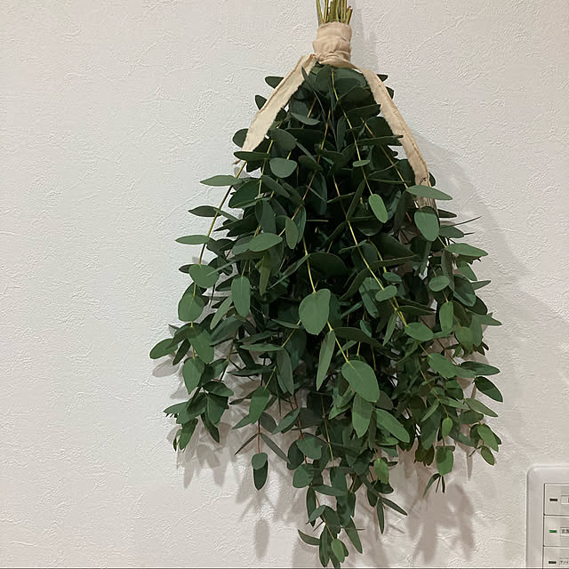 kanhanaさんの実例写真