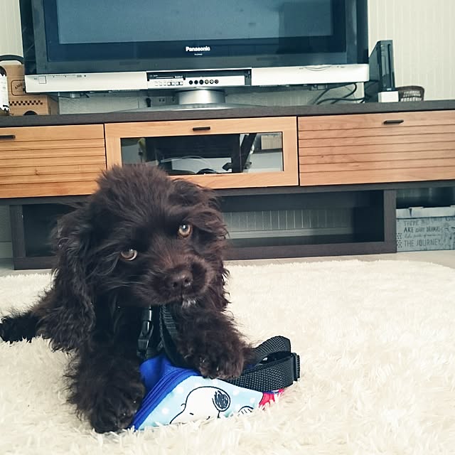 Saorinさんの実例写真