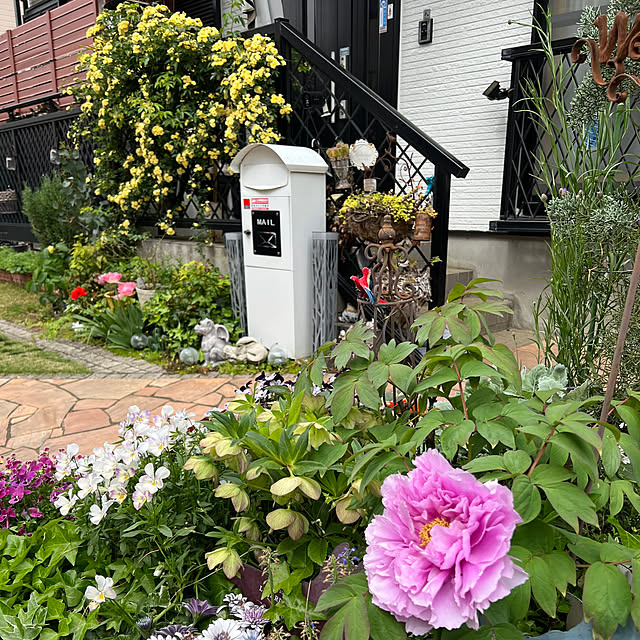 kurumeruさんの実例写真