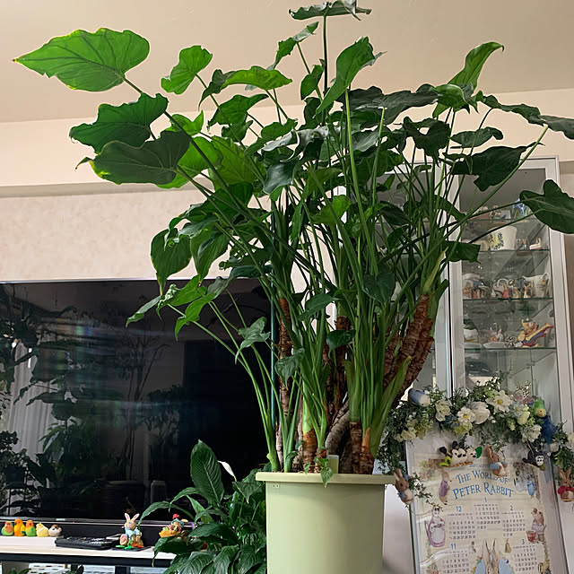 Aqettyさんの部屋